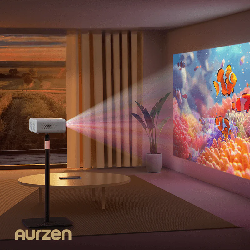 projector1